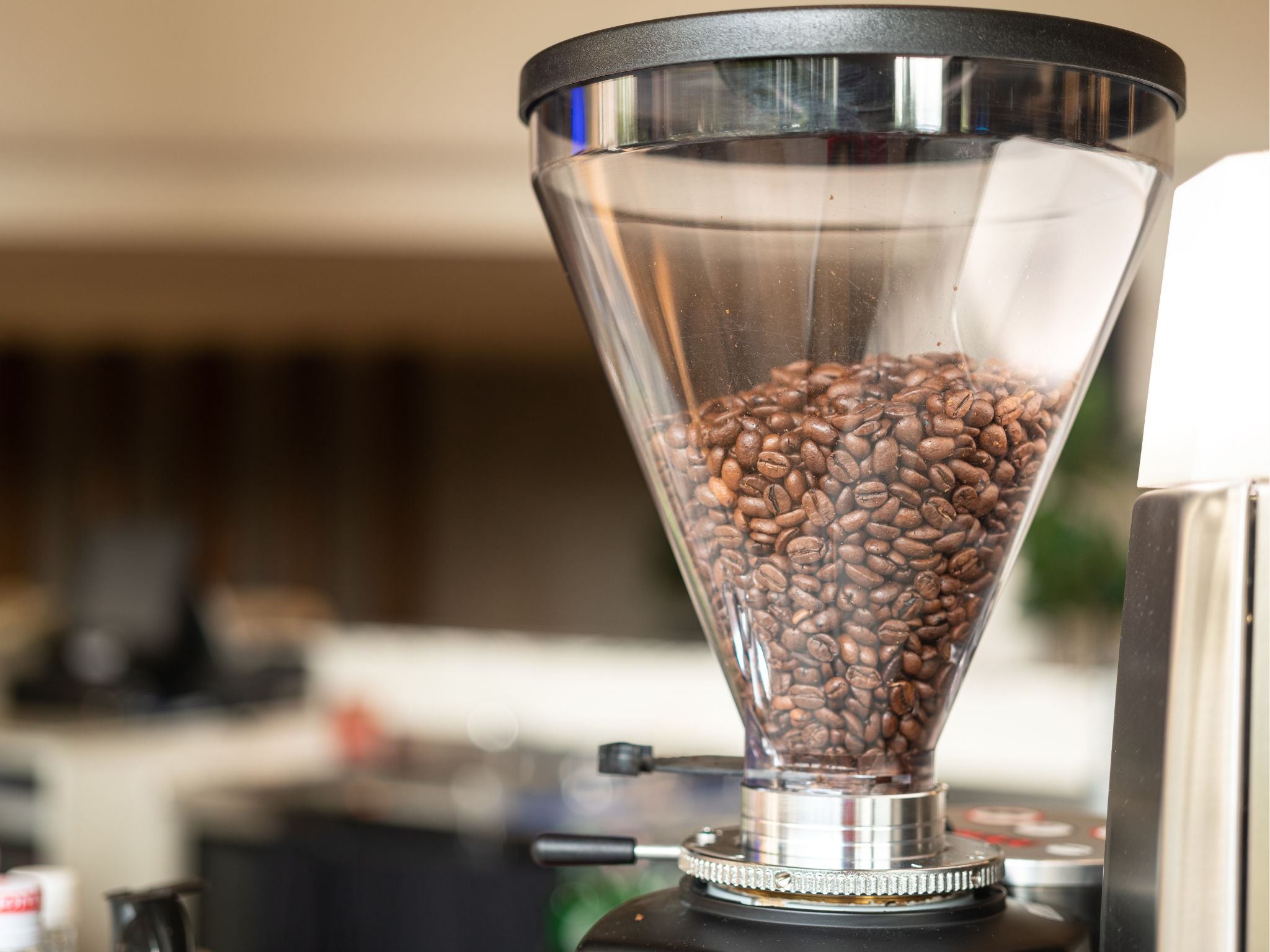 Roasted coffee beans inside coffee grinder hopper