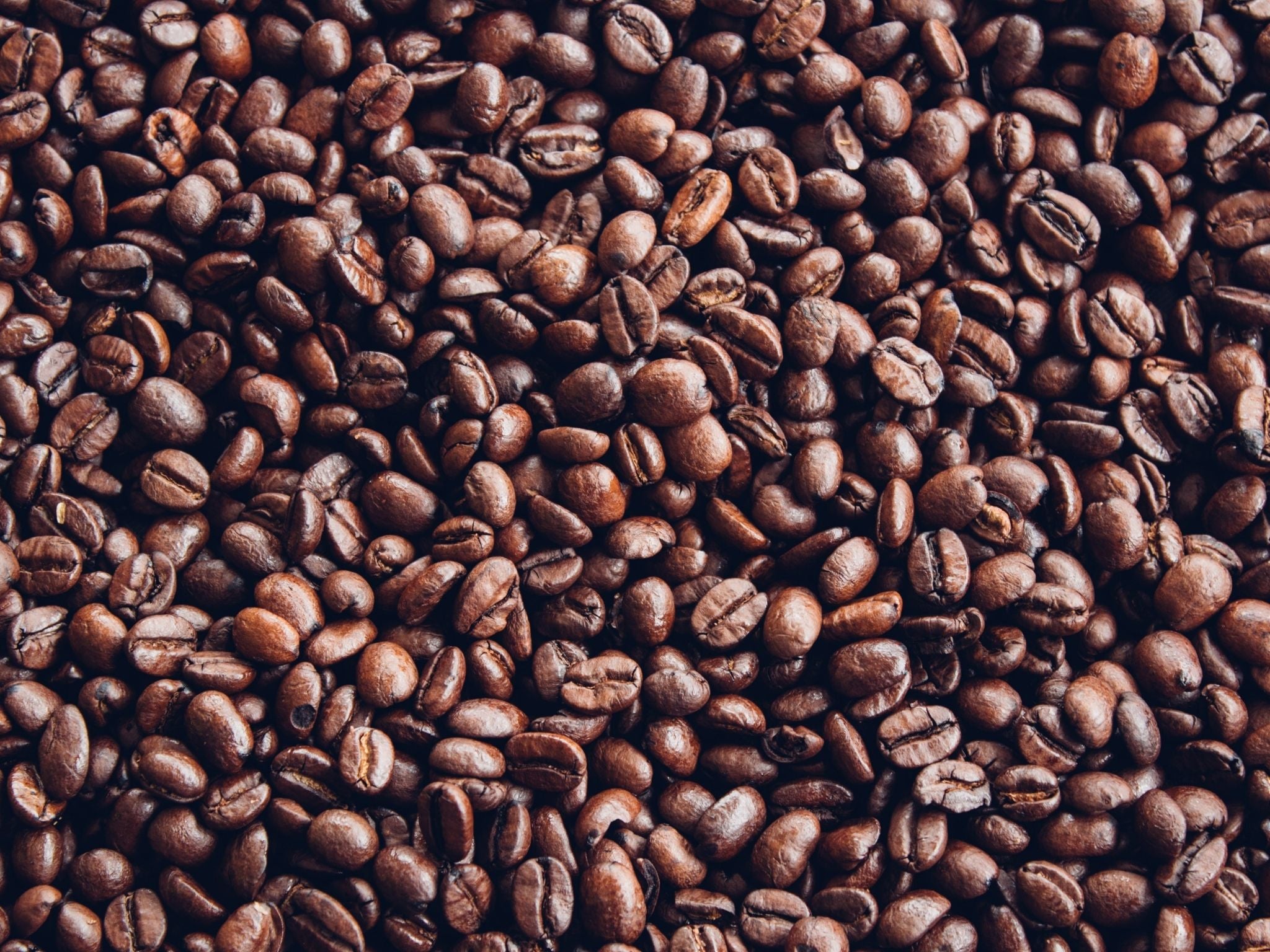 Roasted coffee beans