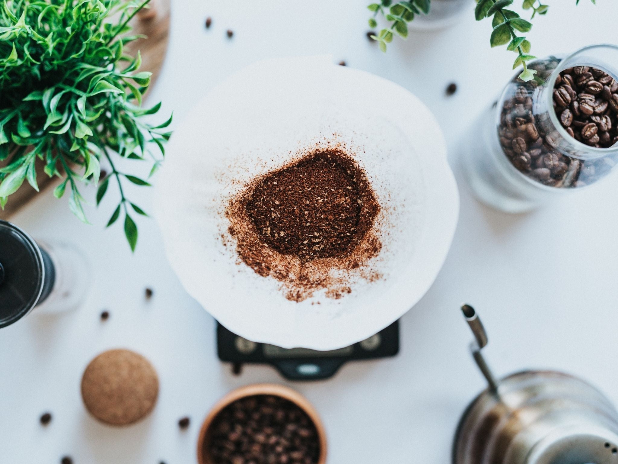 Filter coffee brewing into cup