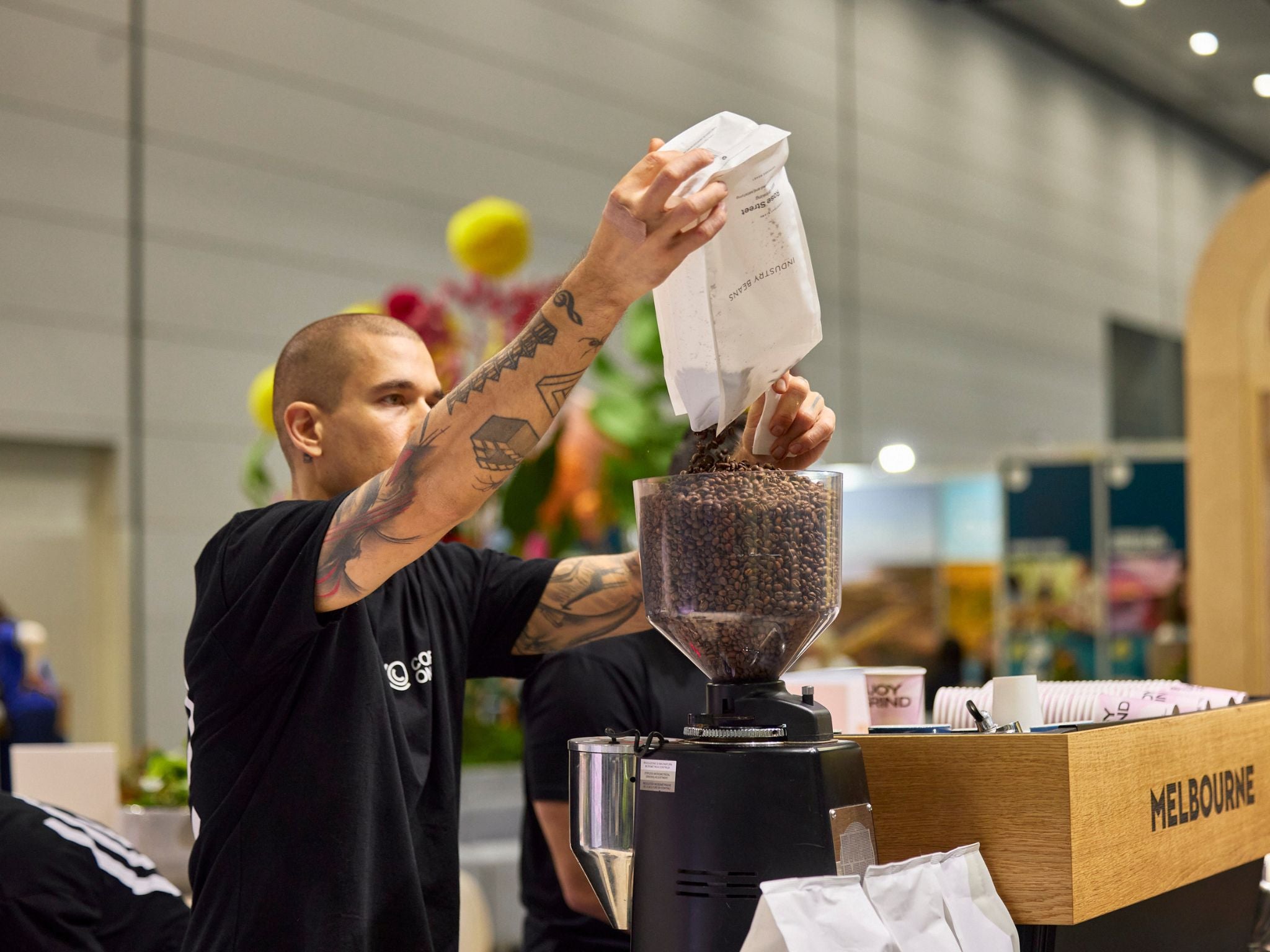 Barista pouring beans into grinder hopper