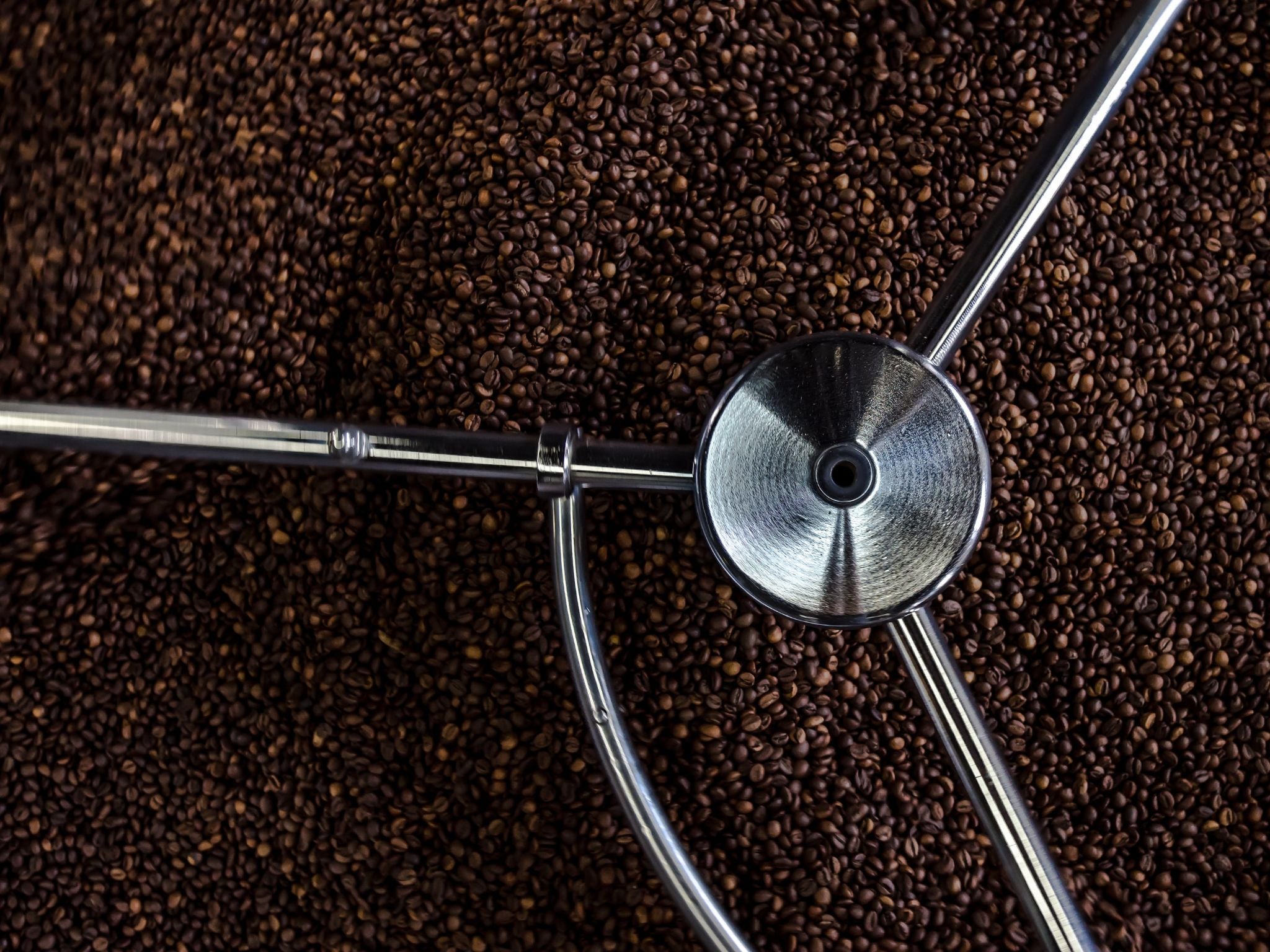 Roasted beans in cooling tray