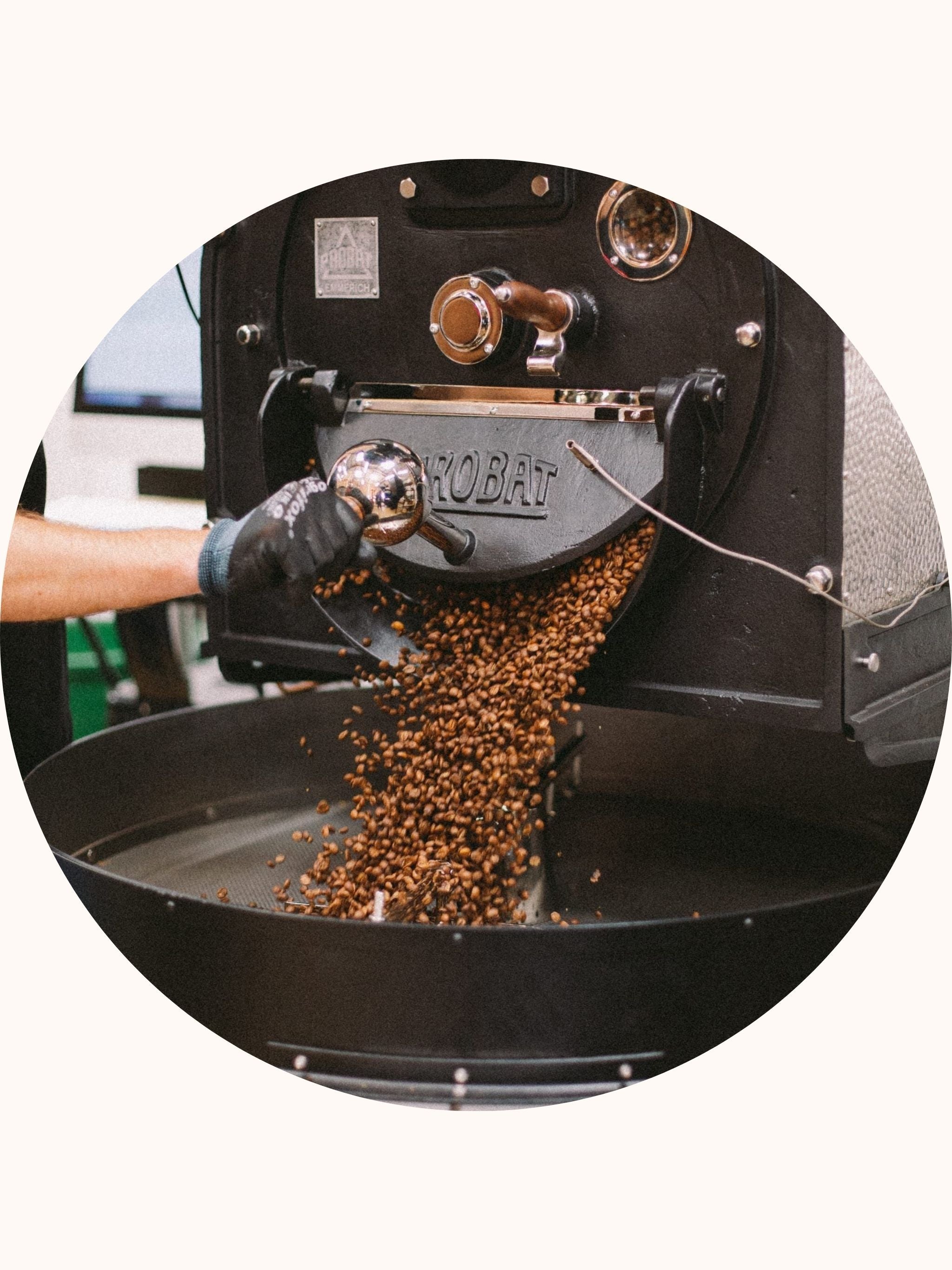 Roasted beans pulled from coffee roaster