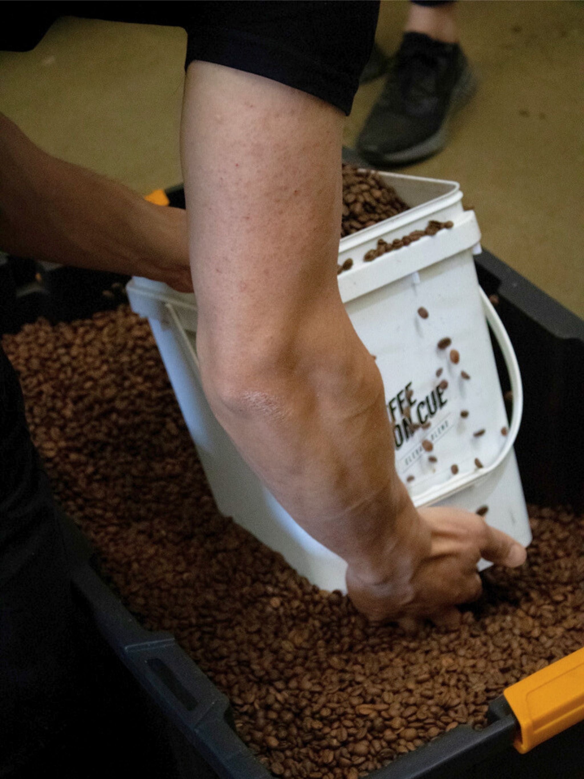 Coffee tubs filled with roasted coffee beans