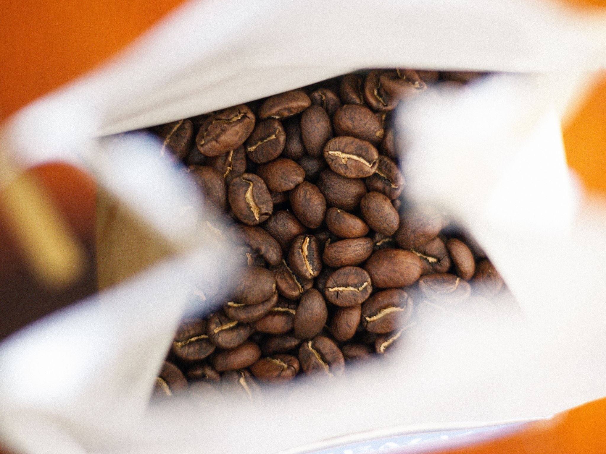 Coffee beans in bag